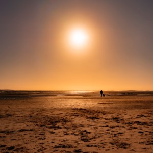 "L'homme et le chien" est une street photographie fine art. La scène se dévoile au premier plan, avec une empreinte de chien, puis en second plan, les silhouettes d'un promeneur et son fidèle compagnon. Ils se promènent au loin complices sur la plage. L'ambiance est douce et chaude, elle offre un moment de quiétude.
