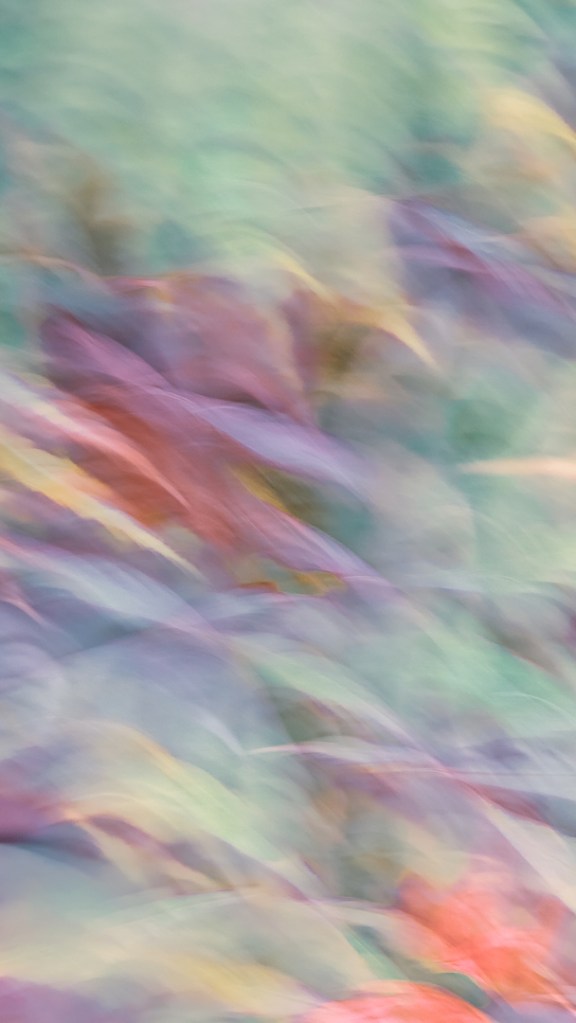 Azur-aimant vôtre. Surprenante oeuvre photographique, un doux voile coloré azur. Un vent de printemps souffle dans l'imaginaire, et la fraîcheur aquatique qui s'annonce aux beaux jours. Une belle bleue délicieuse.